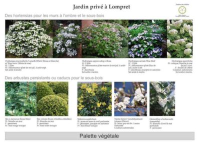 Extrait de la palette végétale